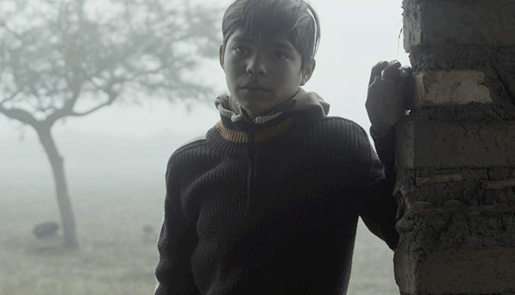 Sin señas particulares (2020, dir.&nbsp;Fernanda Valadez)