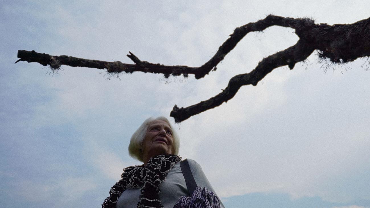 Àvia, el jardín de la memoria